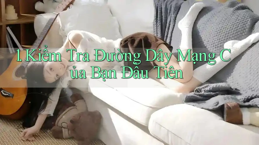 1. Kiểm Tra Đường Dây Mạng Của Bạn Đầu Tiên