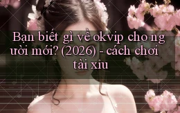 Bạn biết gì về okvip cho người mới (2026)   cách chơi tài xỉu