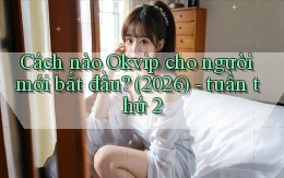 Cách nào Okvip cho người mới bắt đầu (2026)   tuần thứ 2