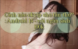 Cách nào okvip cho tân thủ Android 14   với ngân sách 100k