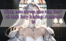 Cách nào okvip cho tân thủ có thật hay không Android 14