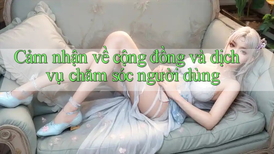Cảm nhận về cộng đồng và dịch vụ chăm sóc người dùng
