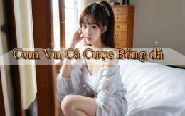com vn Cá cược bóng đá