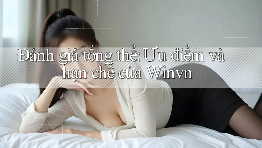 Đánh giá tổng thể: Ưu điểm và hạn chế của Winvn