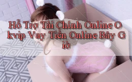 hỗ trợ tài chính online okvip vay tiền online bây giờ