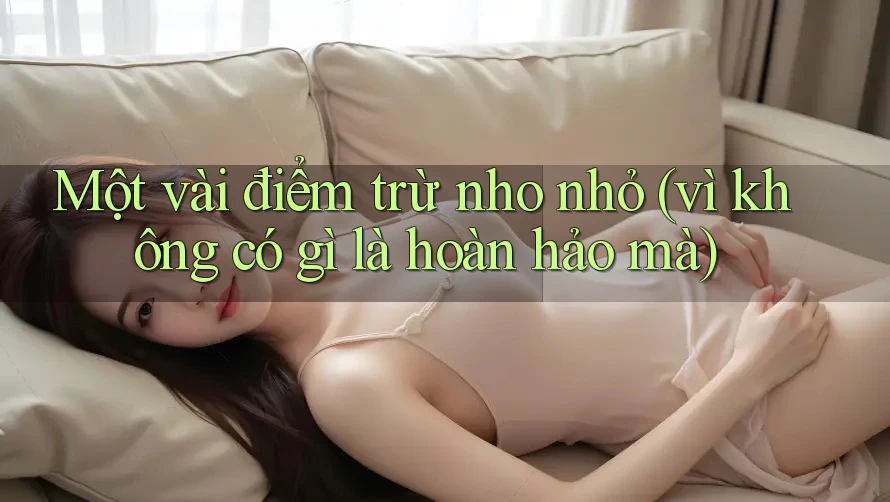 Một vài điểm trừ nho nhỏ (vì không có gì là hoàn hảo mà) Một vài điểm trừ nho nhỏ (vì không có gì là hoàn hảo mà)