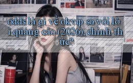 odds là gì về okvip so với lời quảng cáo (2026), chính thức