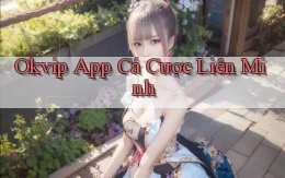 okvip app cá cược liên minh