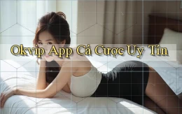 okvip app cá cược uy tín