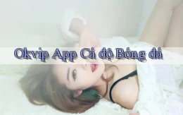 okvip app cá độ bóng đá