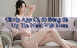 okvip app cá độ bóng đá uy tín nhất việt nam