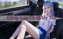 okvip app cá độ uy tín