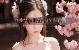 okvip bài giải trí