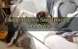 okvip  bắn cá săn thưởng lớn nhất