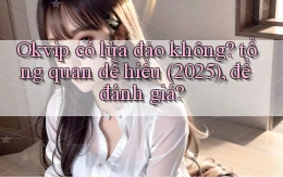 Okvip có lừa đảo không tổng quan dễ hiểu (2025), để đánh giá