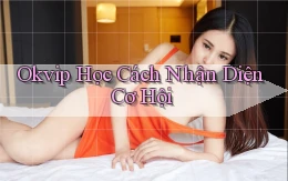 okvip  học cách nhận diện cơ hội