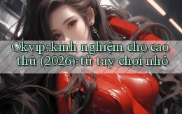Okvip kinh nghiệm cho cao thủ (2026) từ tay chơi nhỏ