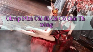 okvip  nhà cái đá gà có giải thưởng