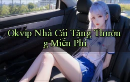 okvip  nhà cái tặng thưởng miễn phí