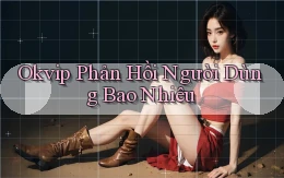 okvip phản hồi người dùng bao nhiêu