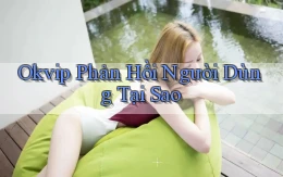 okvip phản hồi người dùng tại sao
