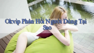 okvip phản hồi người dùng tại sao