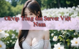 okvip tổng đài server việt nam