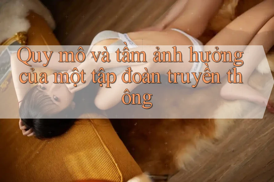 Quy mô và tầm ảnh hưởng của một tập đoàn truyền thông