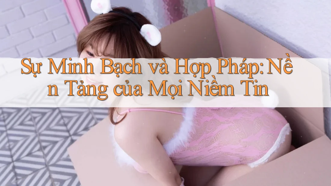 Sự Minh Bạch và Hợp Pháp: Nền Tảng của Mọi Niềm Tin