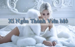 Xí ngầu Thành viên mớ
